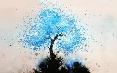 মেঘেদের শাড়ি বদল